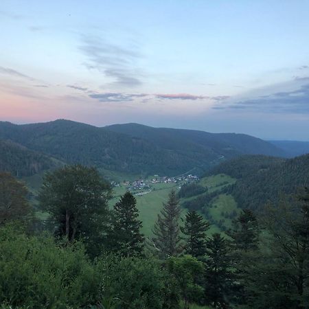 Forest Apartment-Forest Escape Menzenschwand St. Blasien Exterior foto