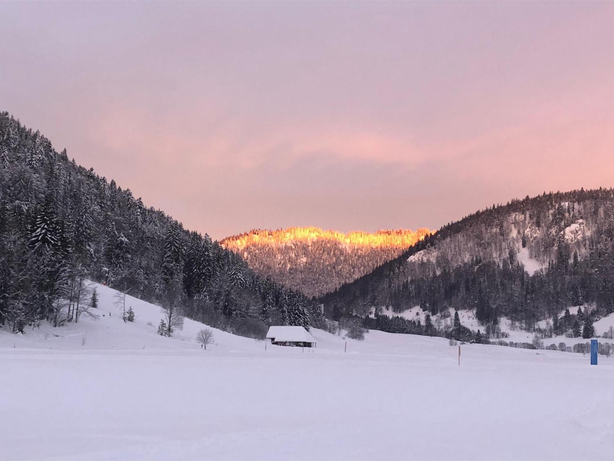 Forest Apartment-Forest Escape Menzenschwand St. Blasien Exterior foto