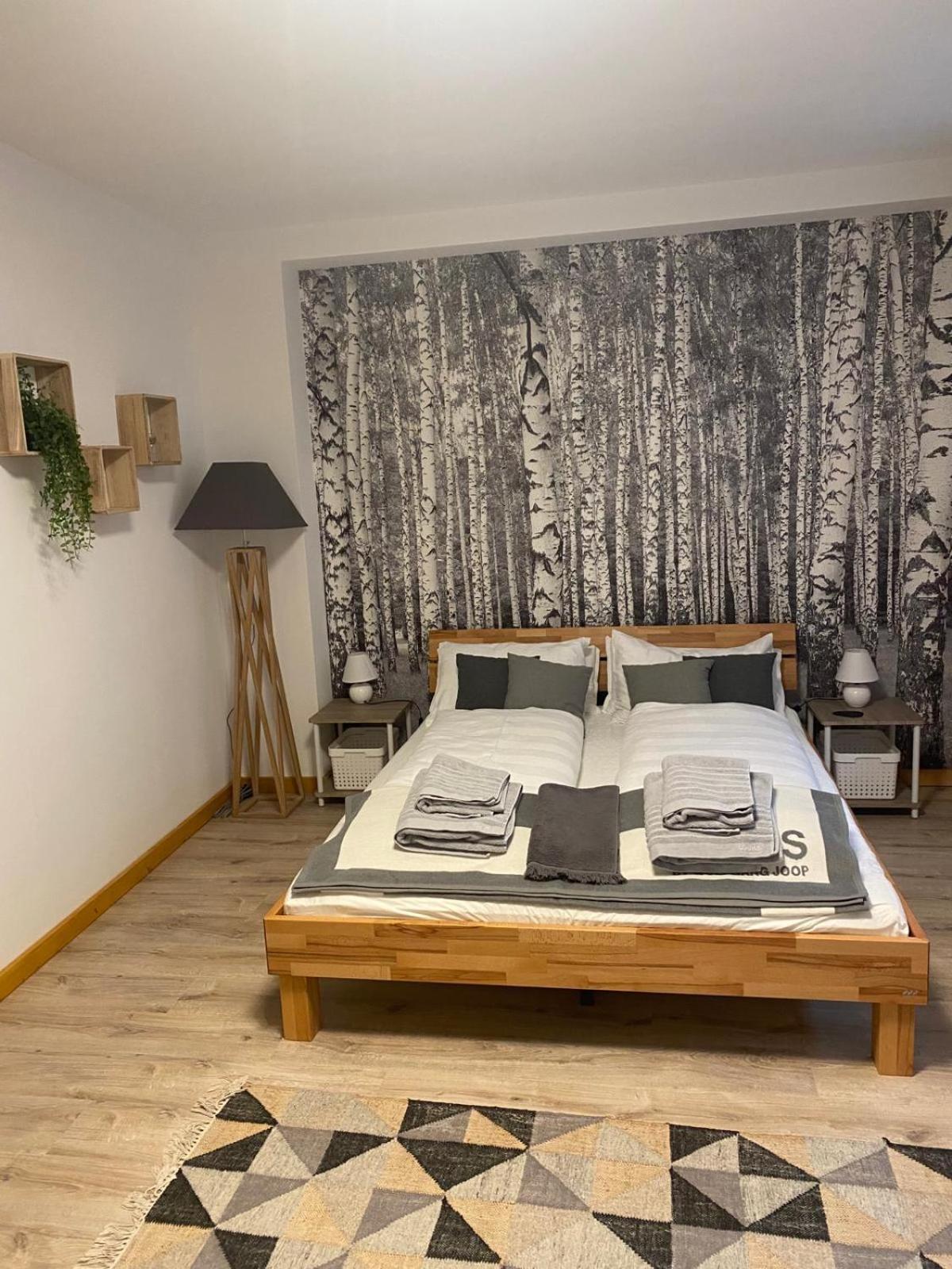 Forest Apartment-Forest Escape Menzenschwand St. Blasien Exterior foto